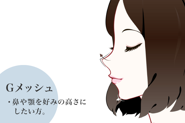 Gメッシュ